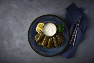 Dolma, cabbage rolls, grape leaves with filling, white sauce, lemon and herbs, rustic, selective