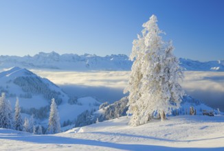 View from the Rigi, Switzerland, Europe