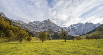 Maple trees with autumn leaves, autumn landscape in Rißtal with Spritzkarspitze, Großer Ahornboden,