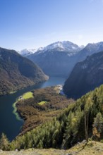 View of the Königssee with St. Bartholomä church, from the Rinnkendlsteig mountain hiking trail,