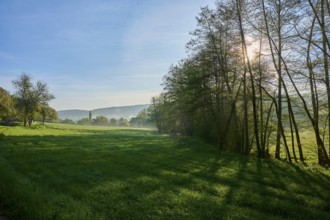 Sunlight falls through treetops onto a green meadow, spring, Großheubach, Spessart, Germany, Europe