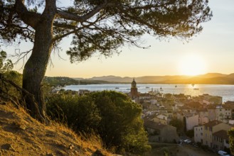 Panorama, Sunset, St. Tropez, Département Var, Cote d'Azur, Provence-Alpes-Côte d'Azur, South of