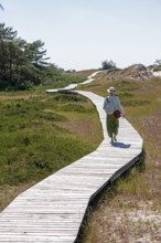 Elderly woman, trees, wooden footbridge, circular hiking trail, nature reserve, Darßer Ort, Born a.