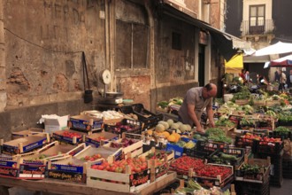 Fruit, vegetables, cheese and meat at the historic market in Catania, Sicily, Italy, Europe