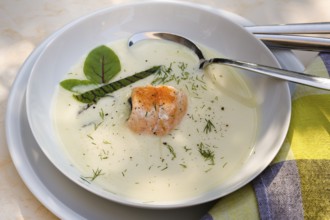 Southern German cuisine, sorrel soup with char, freshwater fish, soup arranged in a plate, herbs,