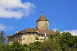 Reichenberg Castle, Staufer castle complex, hilltop castle, historical building, built between 1230