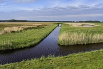 Man-made drainage canal, Texel, West Frisian Island, Province of North Holland, Holland Netherlands