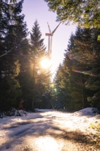 Snow-covered forest path with wind turbine in the background at sunset, Seewald, Black Forest,