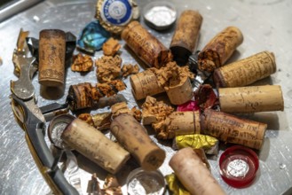 Wine cork, extracted from old, overaged wine bottles, partly crumbly, softened, rotten