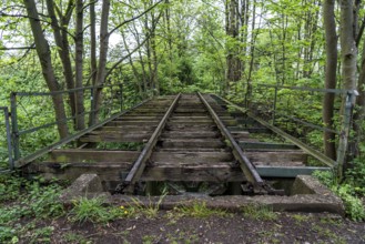 Old railway tracks, track, overgrown, disused line, Herne, North Rhine-Westphalia, Germany, Europe