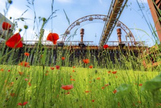 Zollverein Coal Mine Industrial Complex World Heritage Site, Zollverein Coking Plant, colourful