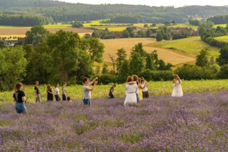 Lavender fields in East Westphalia Lippe, OWL, near the village of Fromhausen, near Detmold, the