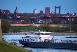 Cargo ship on the Rhine near Duisburg-Beeckerwerth, skyline of the city centre, with town hall,