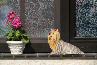 Decoration on a windowsill, in Duisburg, flower and porcelain dog, Duisburg, North