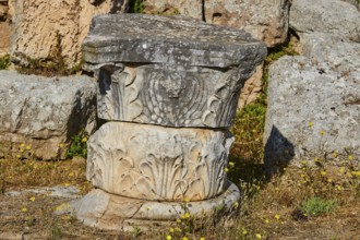 An ancient column base with floral stone reliefs in the open air, Archaeological Museum, Archea