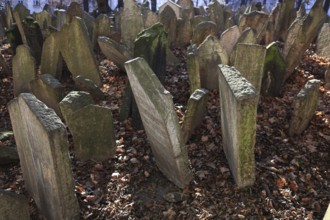 The Old Jewish Cemetery in the Josefov district is one of the most historically significant Jewish