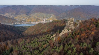 Hoher Stein in autumn, climbing rock, Oberarnsdorf, Wachau, Lower Austria, Austria, Europe