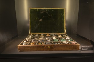 Exhibits, rock collection in the Goethe National Museum, Weimar, Thuringia, Germany, Europe