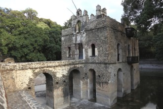 Amhara region, near Gondar, Gonder, small moated castle, the Bath of Fasilde, Fasil Ghebbi palace