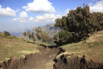 In the highlands of Abyssinia, in the Semien Mountains, landscape in the Semien Mountains National