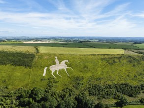 Fields and farms over Osmington White Horse from a drone, Osmington Hill, Weymouth, Dorset,