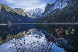 The Vordere Gosausee lake in autumn with a view of the Dachstein mountain range. The Gosaukamm on