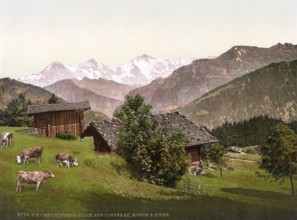 Beatenburg, Beatenberg, View of Jungfrau, Mönch and Eiger, Bernese Oberland, Switzerland, Historic,