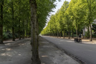 The Jägerhofallee in the Hofgarten, the central municipal park in Düsseldorf, North