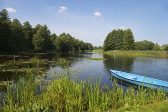 A calm river flows through a green forest landscape under a blue sky, landscape near the Tartak