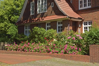 Europe, Germany, Hamburg, Bergedorf district, Schlossstr., City villa with roses, Europe