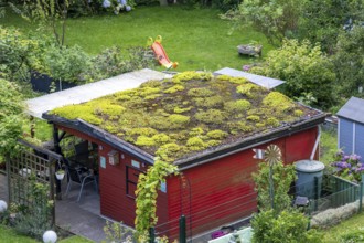 Gazebo with green roof, allotment garden in Essen, North Rhine-Westphalia, Germany, Europe