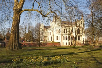 Easter flowers, castle park, Evenburg, Leer, East Frisia, Germany, Europe