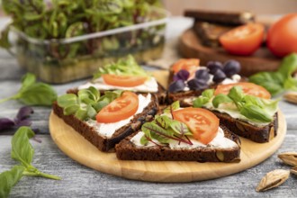 Grain rye bread sandwiches with cream cheese, tomatoes and sorrel microgreen on gray wooden