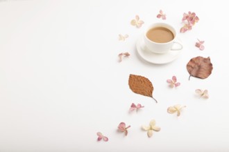 Composition with brown beech autumn leaves, hydrangea flowers and cup of coffee. mockup on white