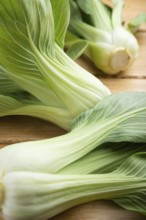 Fresh green bok choy or pac choi chinese cabbage on a brown wooden background. Side view, close up