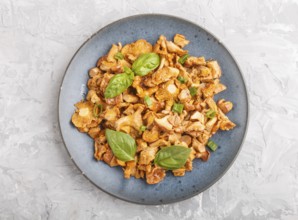 Fried chanterelle mushrooms with basil and spice herbs on gray concrete background. Top view, flat