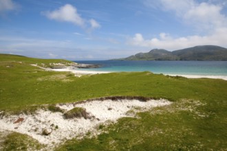 Machair grassland and sandy beach at Bagh a Deas, South Bay, Vatersay island, Barra, Outer