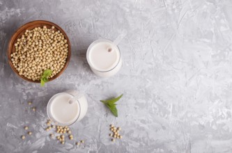 Organic non dairy soy milk in glass and wooden plate with soybeans on a gray concrete background.