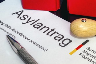 Symbolic image: Asylum application form in Germany