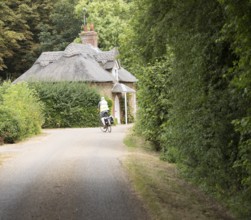 Cyclist wearing high visibility yellow jacket cycling on quiet country lane, Sutton, Suffolk,