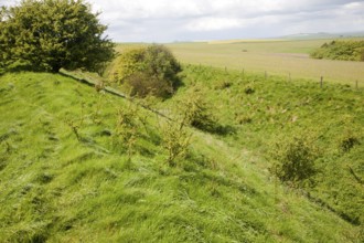 Ditch and embankment of the Wansdyke a Saxon defensive structure on All Cannings chalk downs near