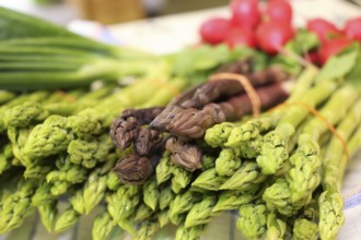 Green and purple asparagus, radishes in the background