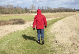 Woman wearing red winter jacket walking on raised coastal flood defence dyke embankment, Hollesley