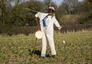 Scarecrow standing in field, Lindsey, Suffolk, England, UK