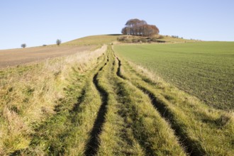 Chalk landscape in winter, Woodborough Hill, Vale of Pewsey, Wiltshire, England, UK