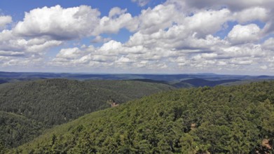 Panorama of the Palatinate Forest