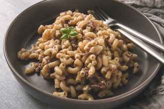 Pasta with stewed meat, pasta in the navy, horns, homemade, no people