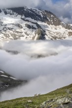 Two sheep on a mountain meadow in front of a mountain landscape, high fog in the valley, behind