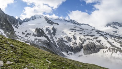 Glaciated summit Großer Möseler with Furtschaglkees, Berliner Höhenweg, Zillertal Alps, Tyrol,