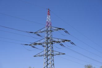 Power pylon on the motorway, Bavaria, Germany, Europe